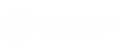 MANIA DE CHURRASCO